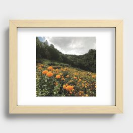 Marigolds in July Recessed Framed Print