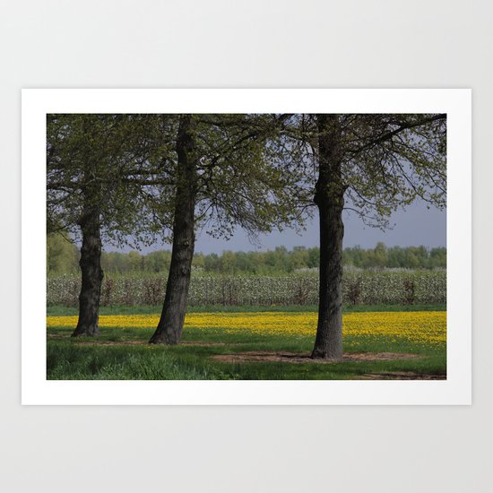 Between the Trees - JUSTART © Art Print