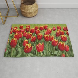 Red tulips I Bright colors I Keukenhof, Holland I Spring I Photography Rug