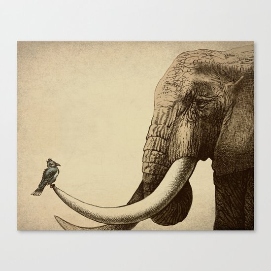 Old Friend Canvas Print