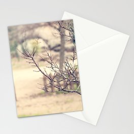 Winter Stationery Cards