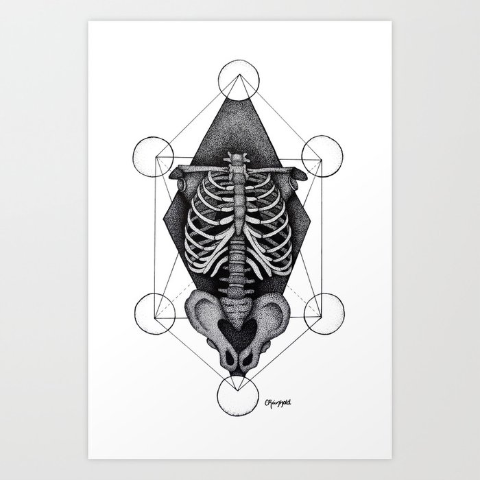 Anatomy Art Print