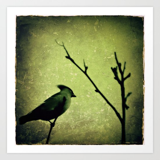 Waxwing Art Print