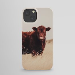 Red Angus Cow Art iPhone Case