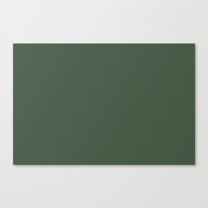 Gray Asparagus Green Grey Solid Color Popular Hues Patternless Shades of Gray Collection Hex #465945 Canvas Print
