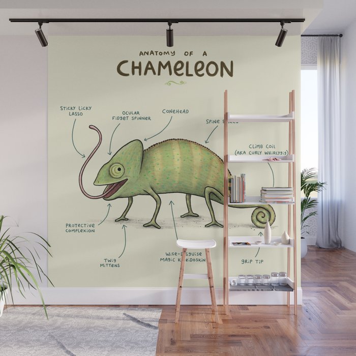 Anatomy of a Chameleon Wall Mural