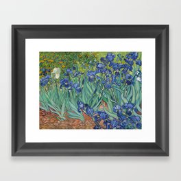 Irises, Vincent Van Gogh Framed Art Print