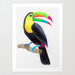Watercolor Toucan Bird Art Print