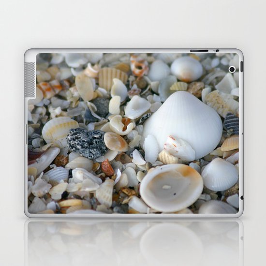 Shells Laptop & iPad Skin