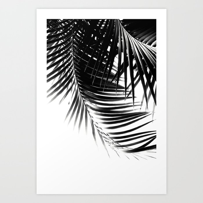Palm leaves black white vibes 1 tropical decor art society6 Palm leaves black white vibes 1 tropical decor art society6