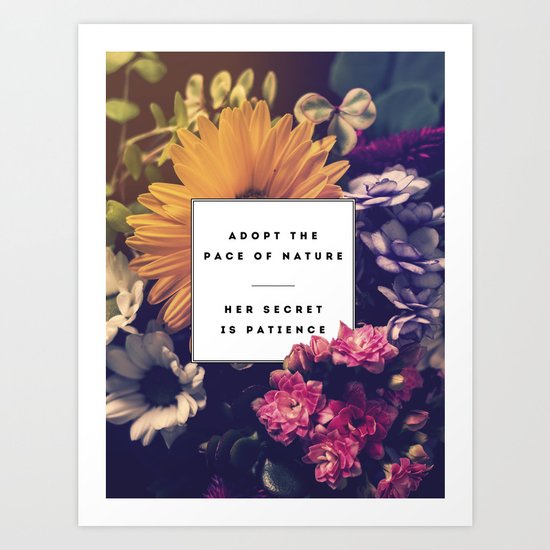 The Pace Of Nature Art Print