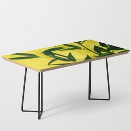 Leaves on Yellow Coffee Table