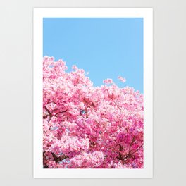 Tree in Bloom Art Print