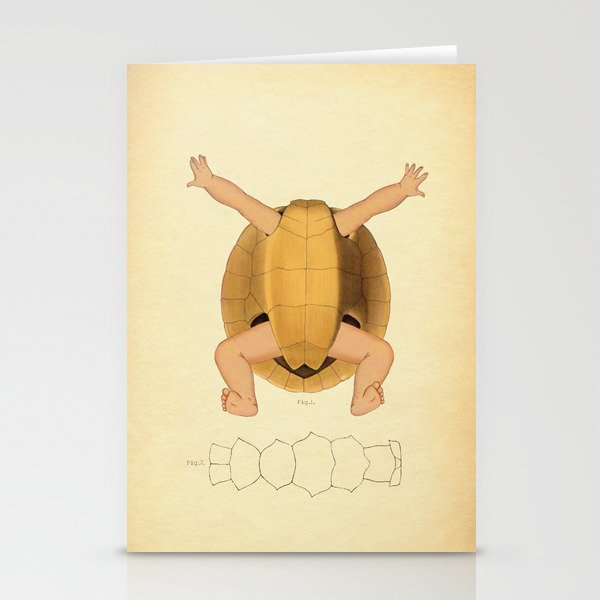 Anatomical Turtle Baby Stationery Cards