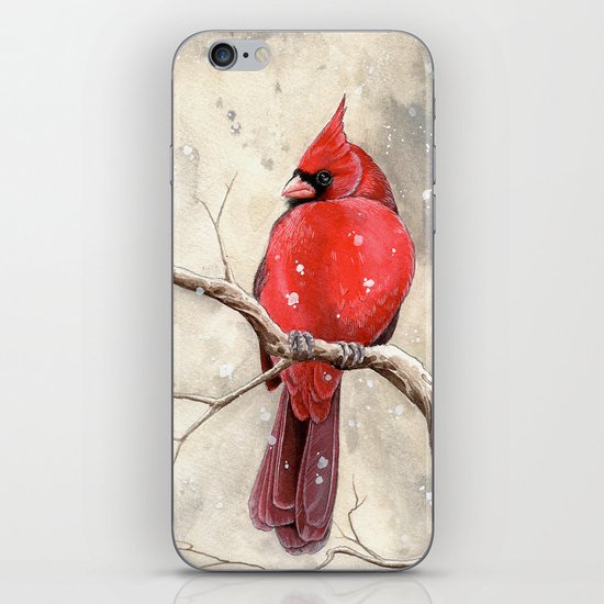 Northern Cardinal iPhone & iPod Skin