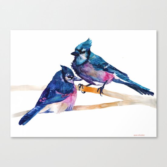 Blue Jays Canvas Print