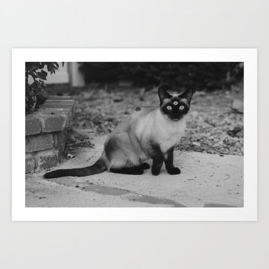 Meow Art Print