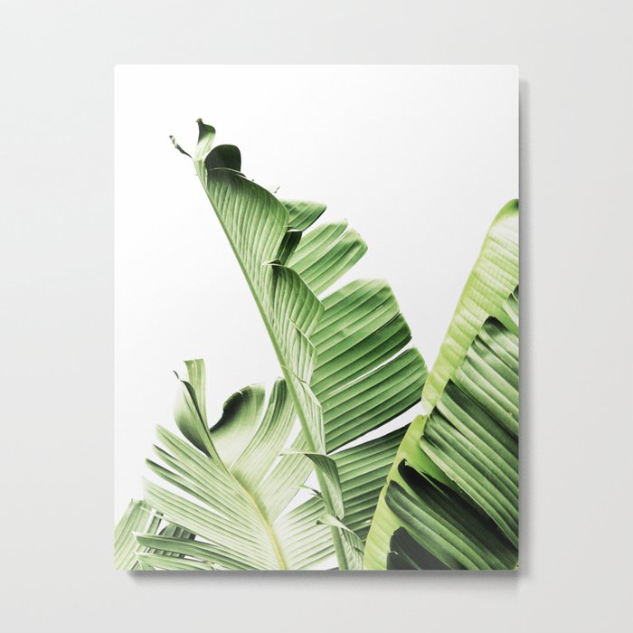 Banana Leaves Leaf Plant Modern Wall Art Tropical Metal Print