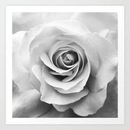 Rose Photography | Black and White Flower | Minimalism | Floral | Love Art Print