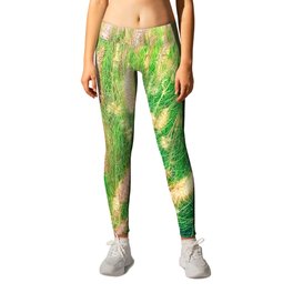 green grass field texture abstract with blooming grass flowers Leggings