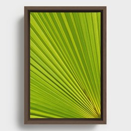 Palm leaf and Mediterranean sunlight 2 Framed Canvas