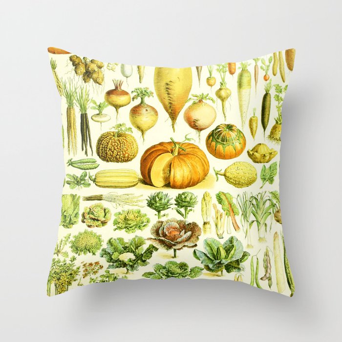 Throw Pillow