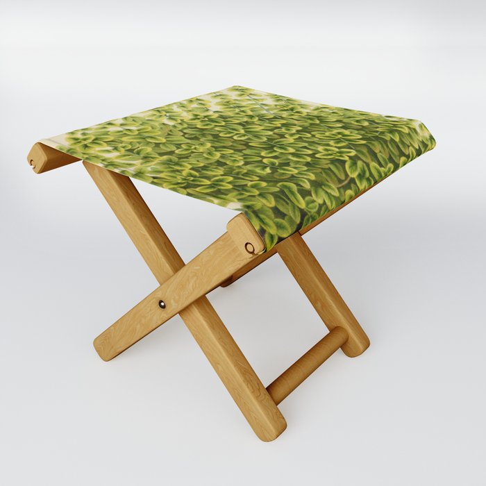 Botanical Thyme Folding Stool