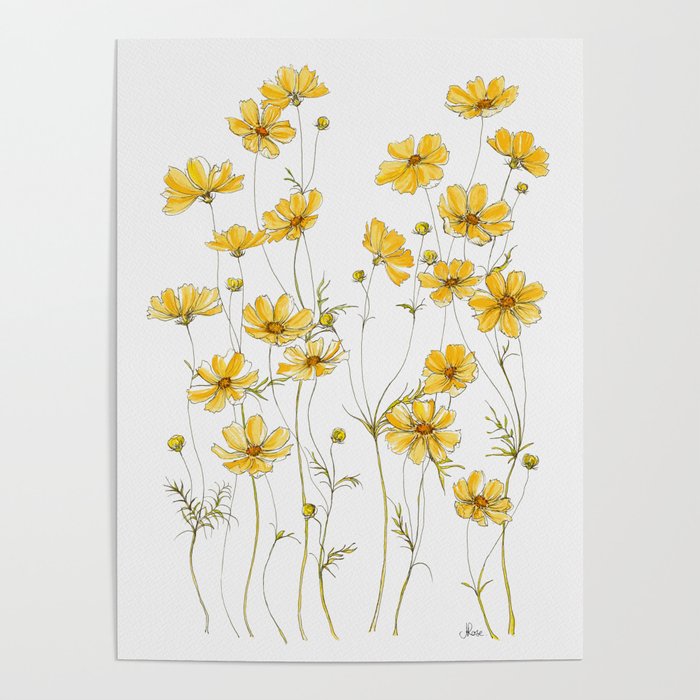 Yellow Cosmos Flowers Poster