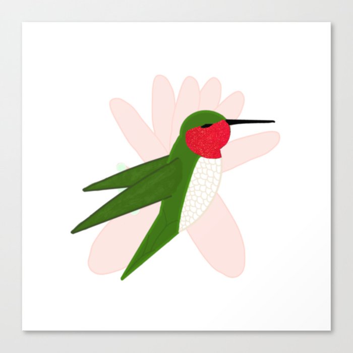 Small Hummingbird Shimmer Cheeks Canvas Print