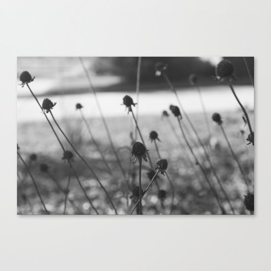 Garden Remains Canvas Print