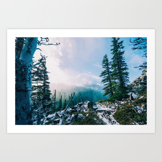 Overlook the Wilderness Art Print