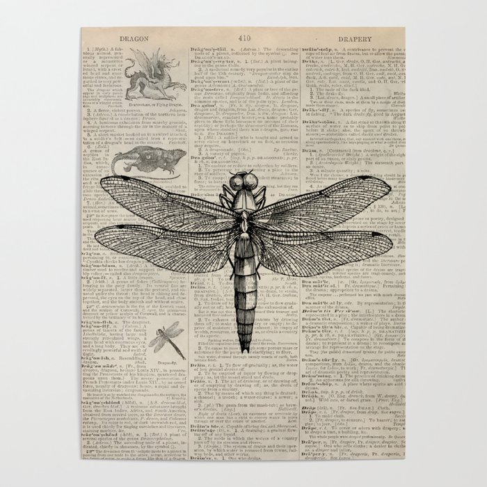Vintage Dragonfly Sketch  Poster