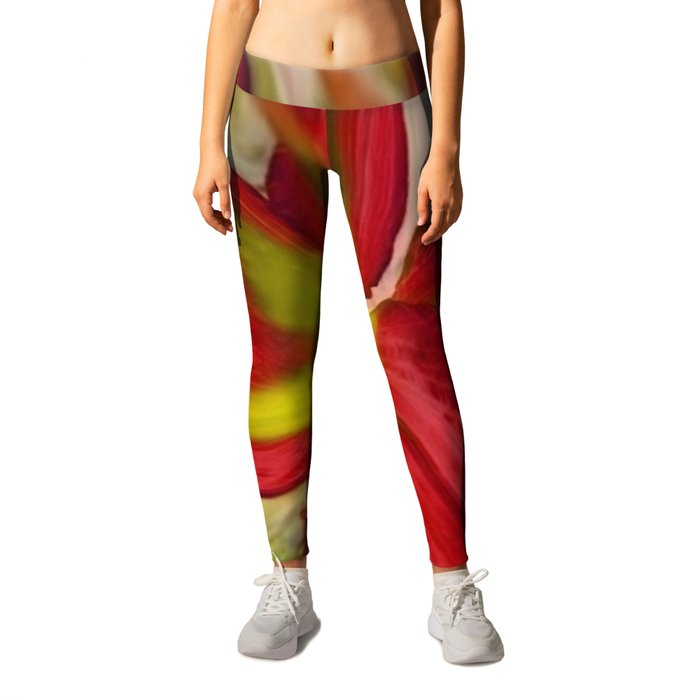 Large Abstract Flower in Red Leggings