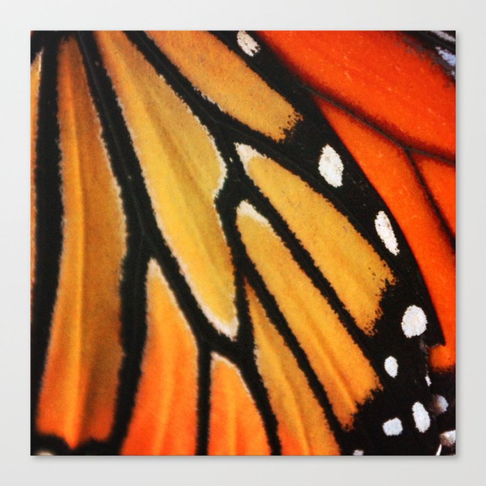 Butterfly Wing Canvas Print