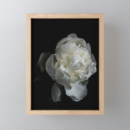 White Peony Framed Mini Art Print
