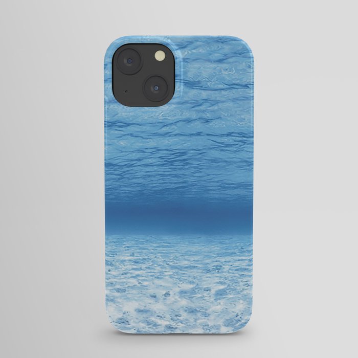 Sea Fish iPhone Case