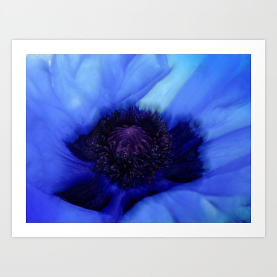 Poppy Blue Art Print