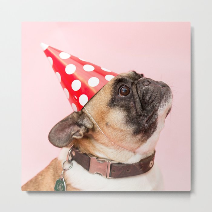 Pug Birthday Party! Metal Print
