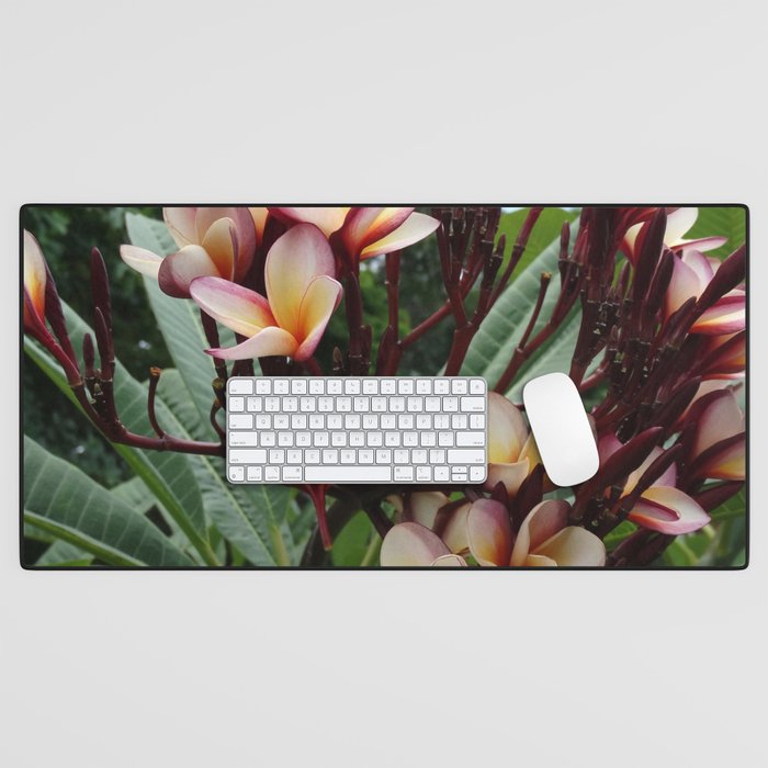 Mexico Photography - Beautiful Red Frangipanis Desk Mat