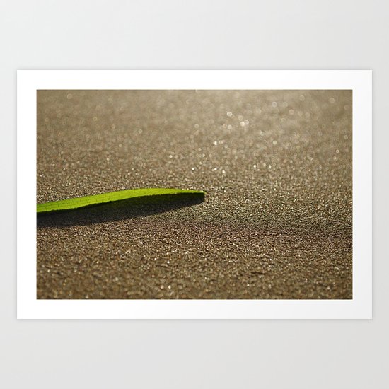 Serenity Art Print