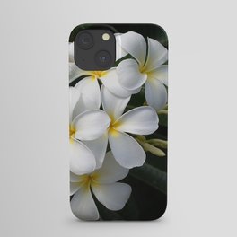 Wild Tropical Hawaiian Plumeria Flowers iPhone Case