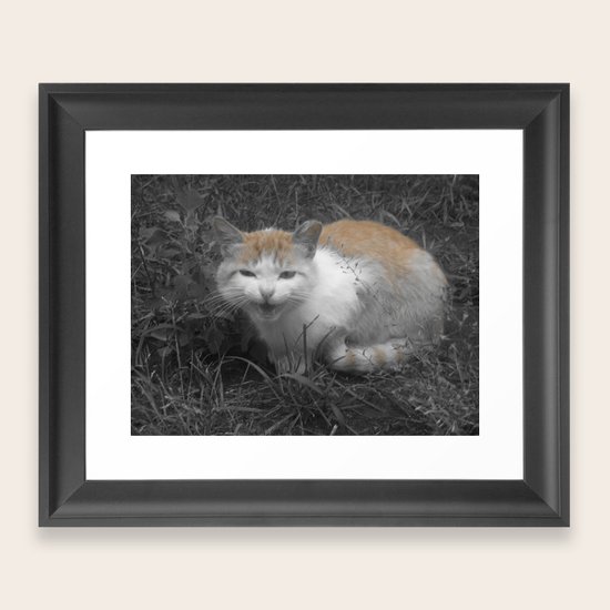 HELLO Framed Art Print
