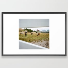 Malibu Neighbors | Horses in Malibu wine country Framed Art Print