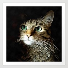 Tabby Cat With Green Eyes Isolated On Black Art Print
