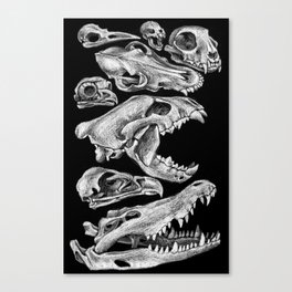 Carnivores Canvas Print