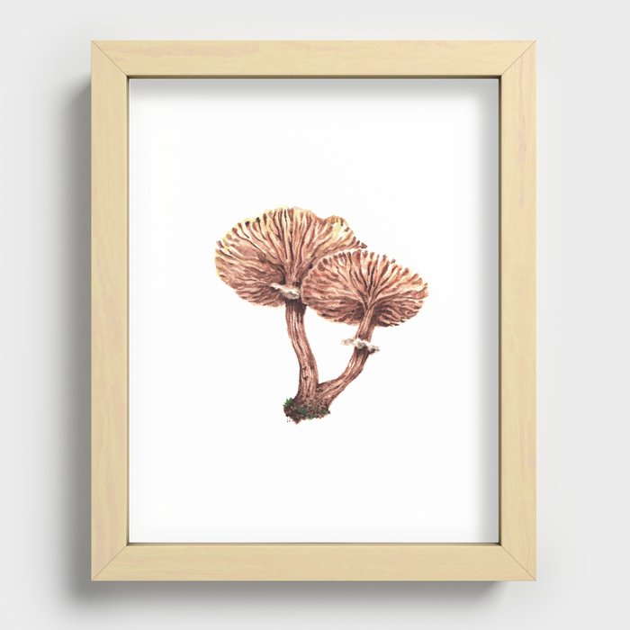 Fungi watercolor - Armillaria gallica Recessed Framed Print