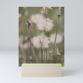 Dandelion Mini Art Print