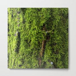 Moss Green, Moss Texture, Textured, Woodland Decor, Nature Art Print, Moss Decor, Nature home, Metal Print