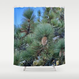 Pine Tree at Lick Observatory Shower Curtain