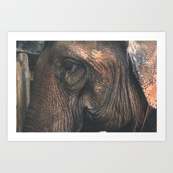 Bon Art Print